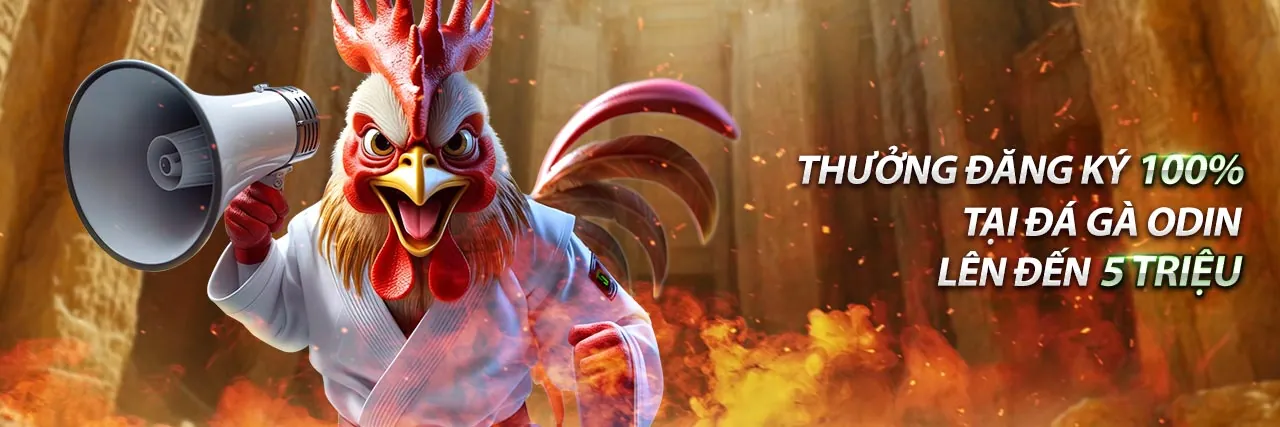 Hình ảnh nền chương trình đối tác Vinbet