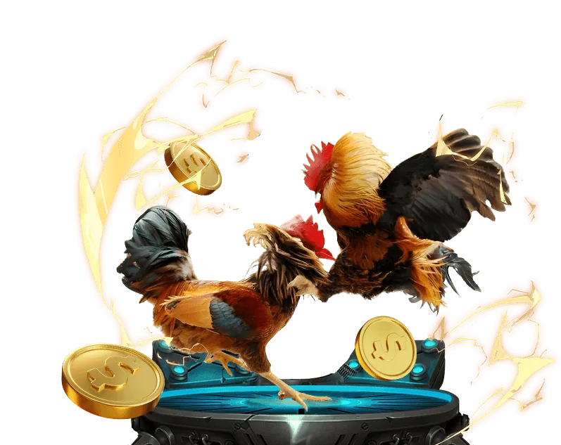 Tin tức đá gà Vinbet