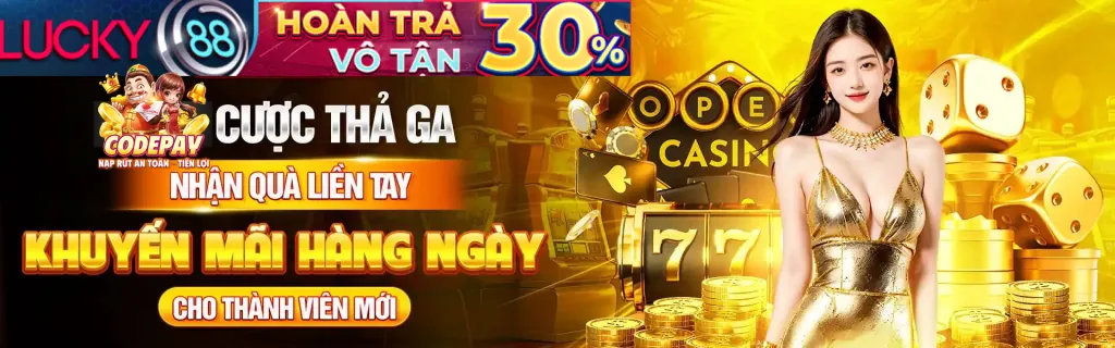 Trường gà Vinbet sôi động